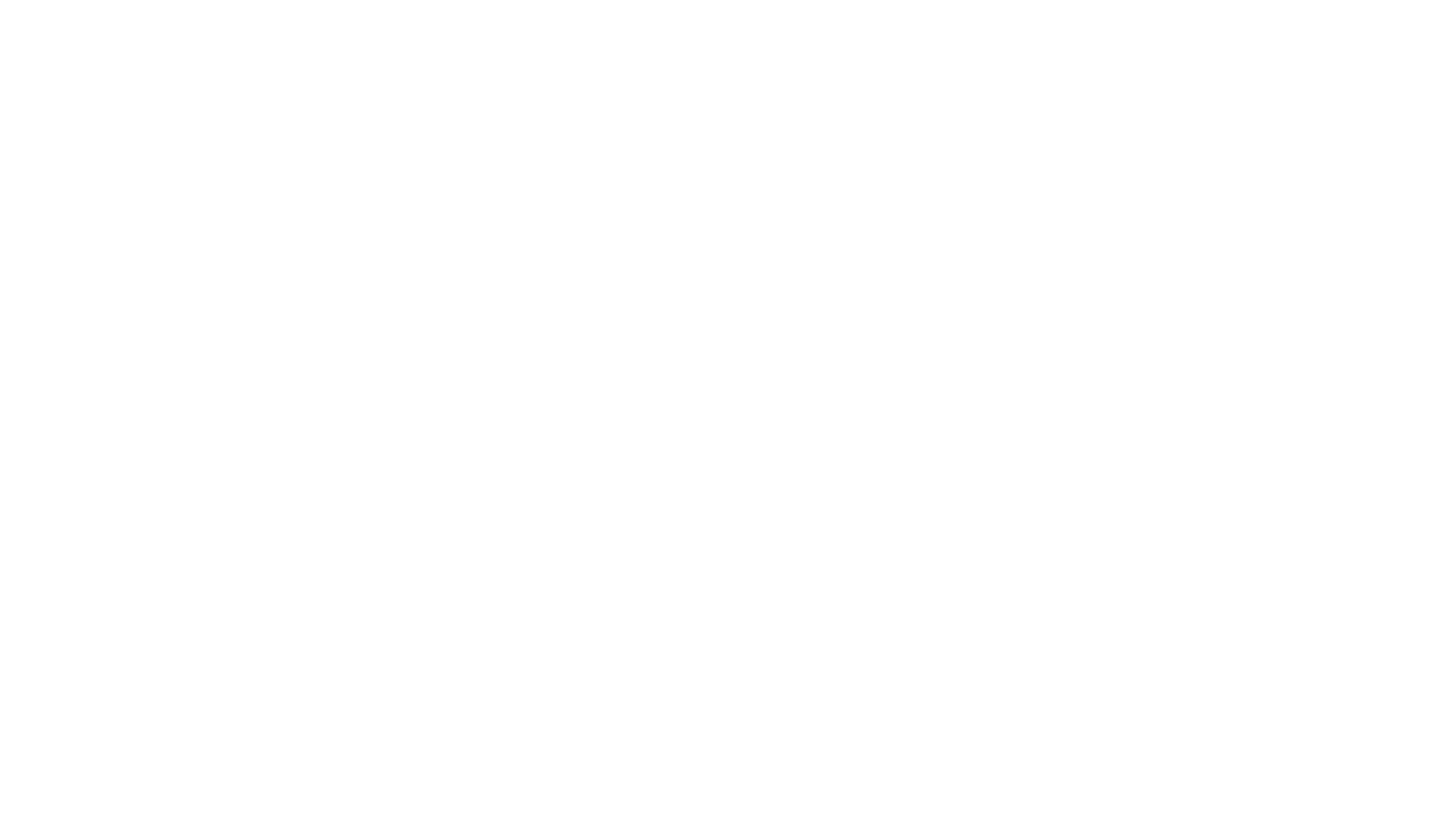 Swiss Platinum Relocation Logo